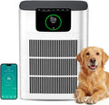 HEPA Luftreiniger mit Aktivkohlefilter, ideal gegen Pollen und Tierhaare, für Räume bis 100 m², leise und energieeffizient, App-Steuerung, Modell AP002